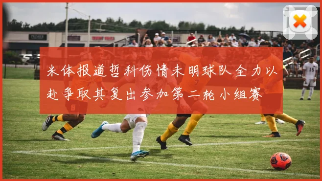 米体报道哲科伤情未明球队全力以赴争取其复出参加第二轮小组赛